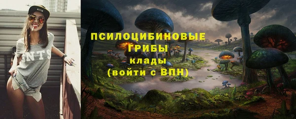 таблы Галич
