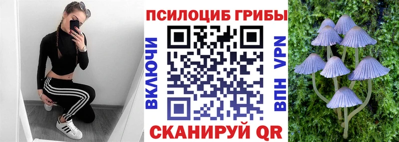 Псилоцибиновые грибы мицелий  где купить наркоту  shop как зайти  Киселёвск 